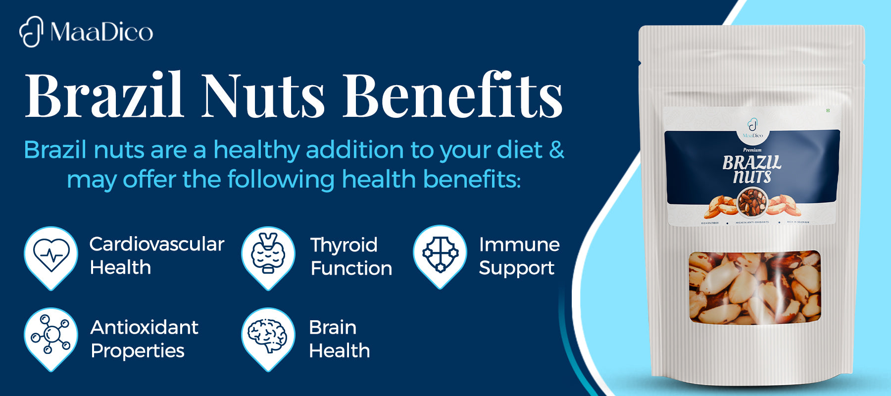 Brazil Nut Benefits- A Complete Guide to Their Nutritional Value & Health Advantages