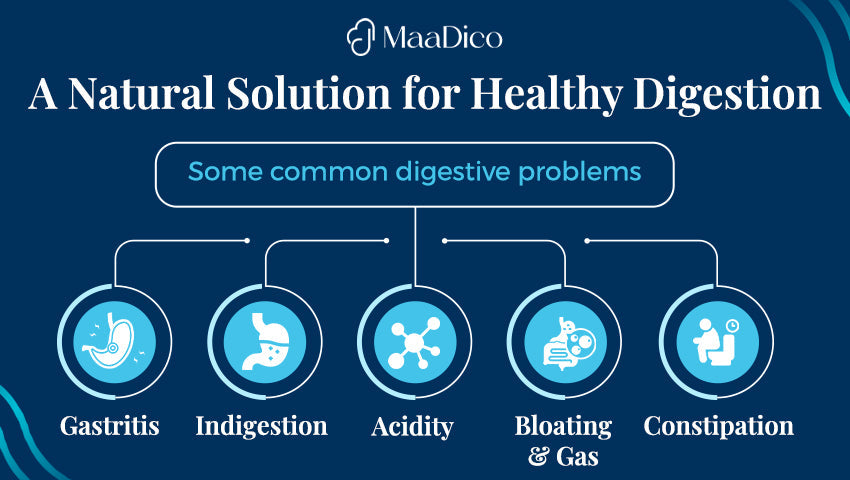 Common Digestive Problems and Their Impact on Daily Lifestyle