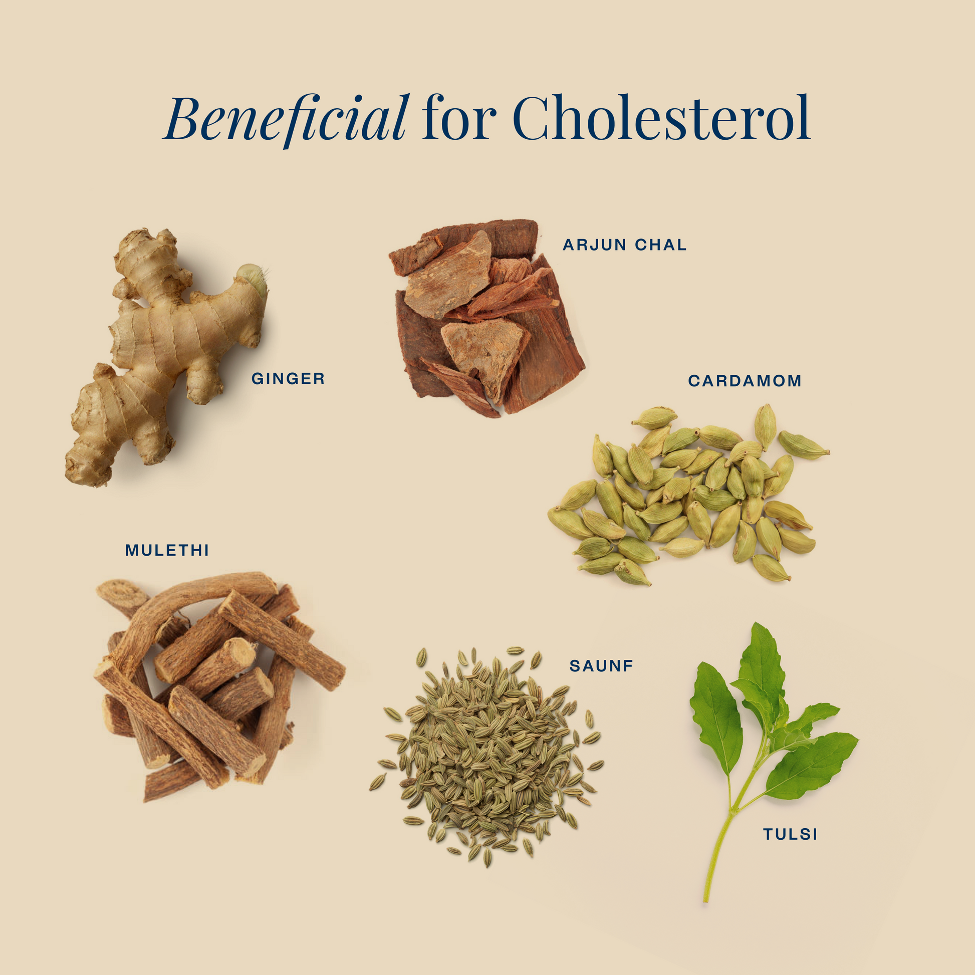 Herbs Which Are Lowering Cholesterol Naturally