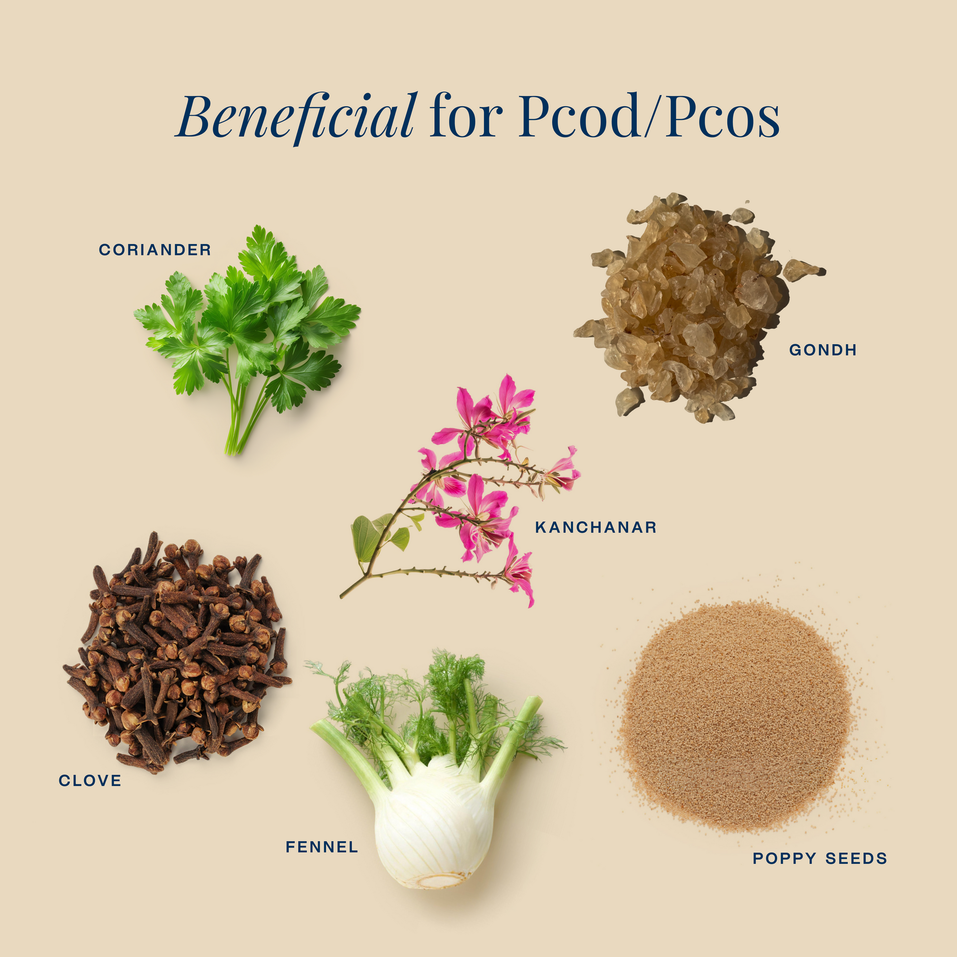 Herbs Are Beneficial for PCOD and PCOS