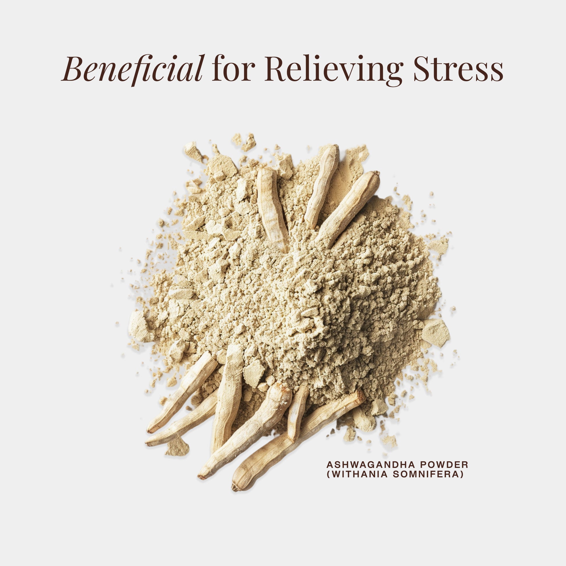 Benefits of Ashwagandha Powder for Stress Relief