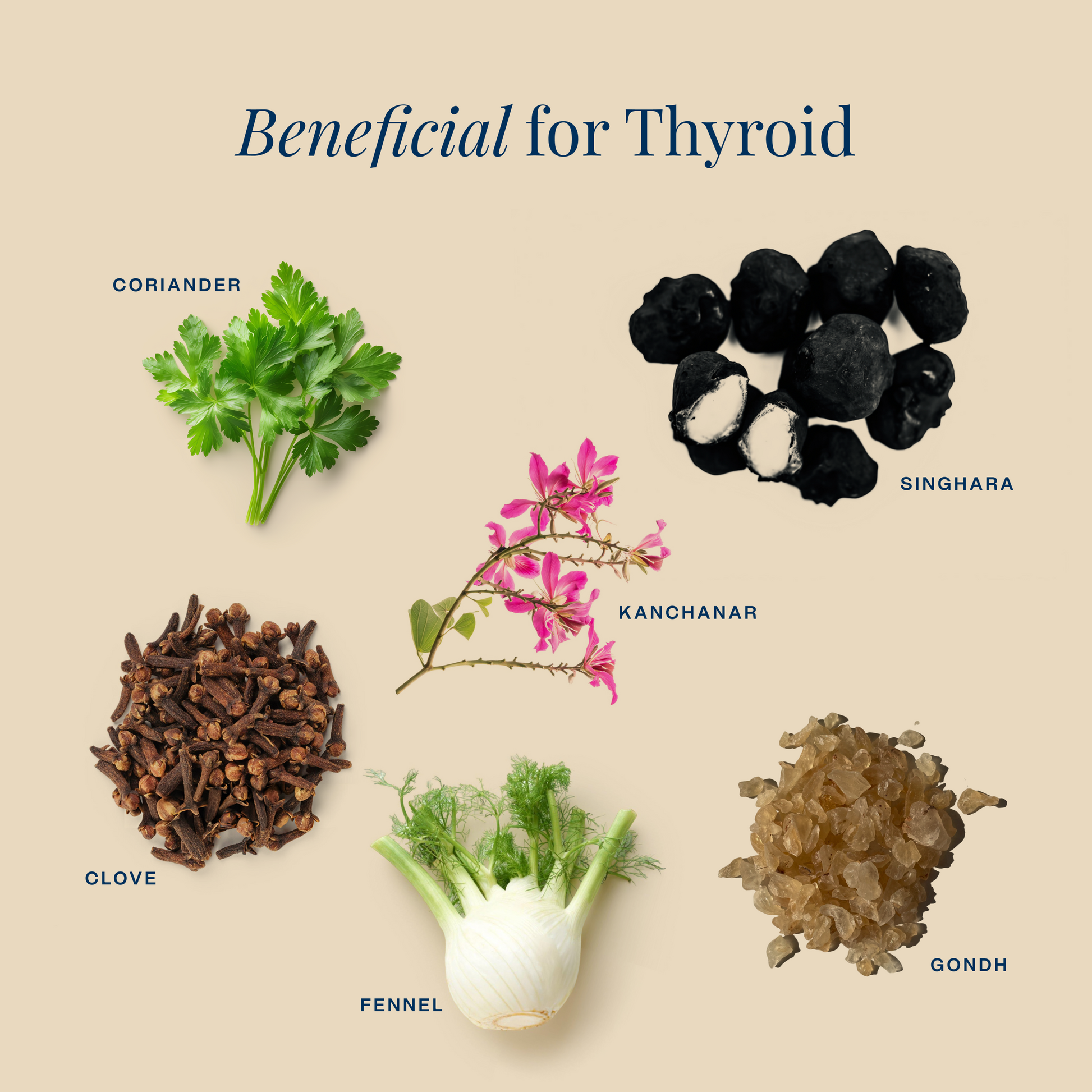 Herbs for Throat Thyroid Benefits