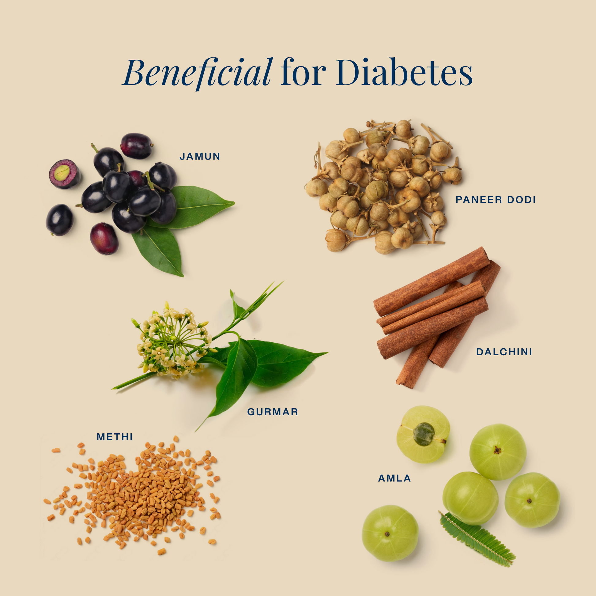 Important Herbs for Diabetes Care