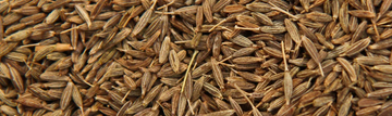 Cumin