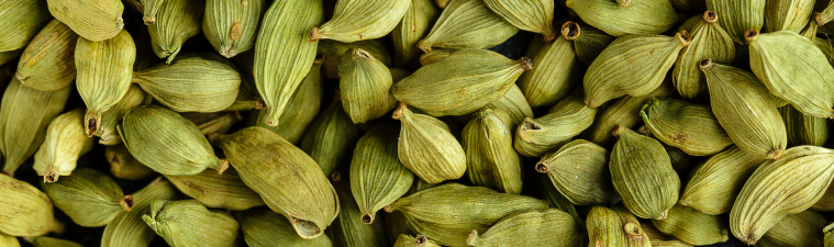 Cardamom